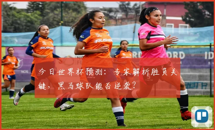 今日世界杯预测：专家解析胜负关键，黑马球队能否逆袭？