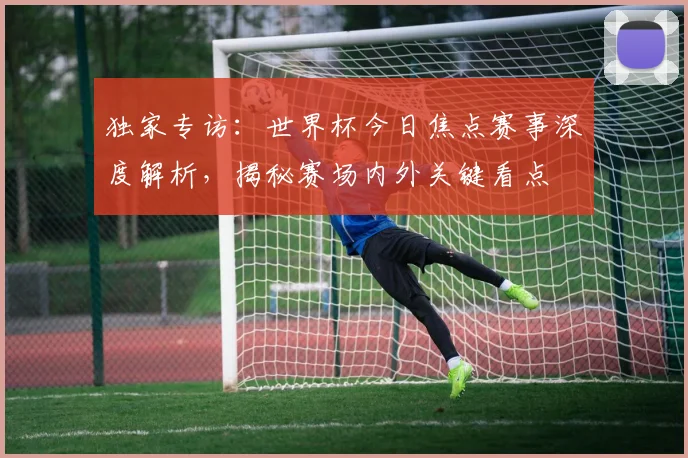独家专访:世界杯今日焦点赛事深度解析,揭秘赛场内外关键看点