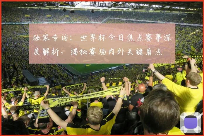 独家专访：世界杯今日焦点赛事深度解析，揭秘赛场内外关键看点